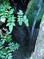 pont de tuffe - l'eau disparait (2)